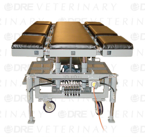 DRE Veterinary Dorsal/Lateral Cylinder Base Equine Table
