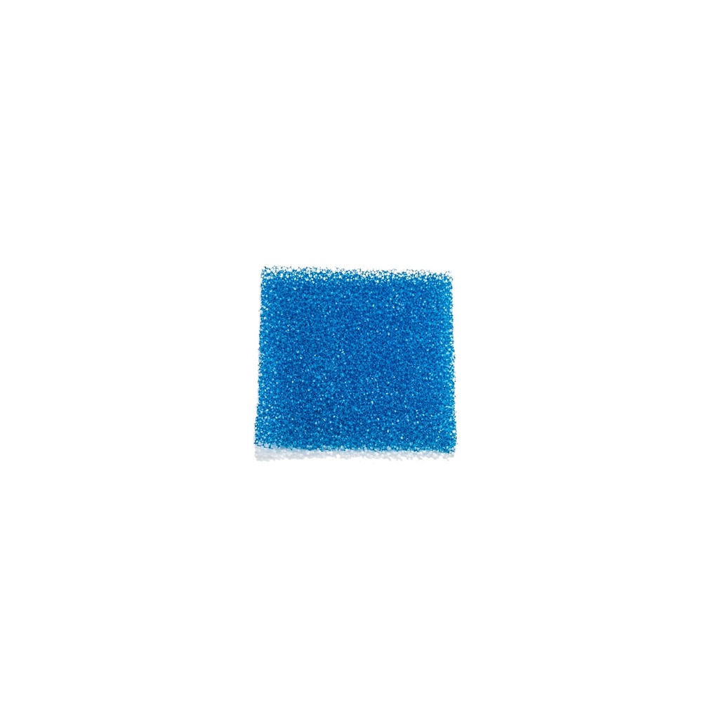 Simport Biopsy Foam, Blue, 1" x 1¼"