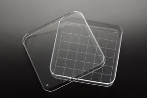 Simport Petri Dish, 15 x 90 x 90mm