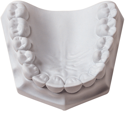 Whip Mix Orthodontic Plaster: Super-White Dental Plaster (33 lb. Carton)