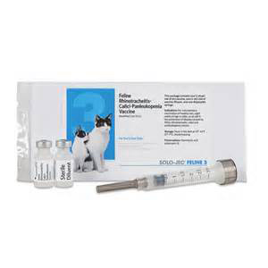 Solo-Jec Feline 3 Syringe 1 Dose - 1 mL (Keep Refrigerated)
