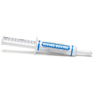 Divine Bovine Calf Calm Paste Syringe - 34 g
