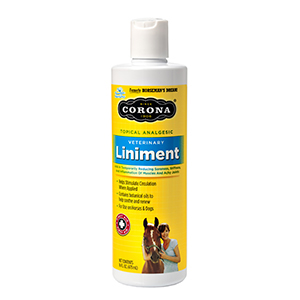 Corona Muscle Repairing Liniment for Horses - 16 oz