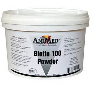 Biotin 100 Powder - 5 lb