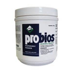 Probios Dispersible Powder - 240 g