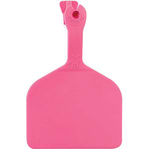 Z Tags Feedlot Ear Tags - Pink Blank (50 Pack)