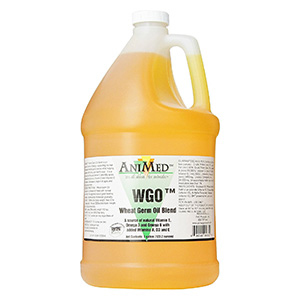 WGO Wheat Germ Oil Blend - 1 gal
