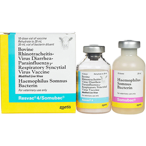 Resvac 4/Somubac Cattle Vaccine 10 Dose - 20 mL (Keep Refrigerated)