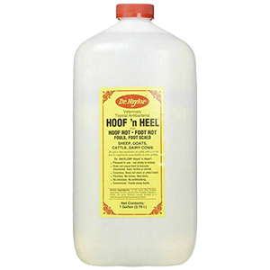 Hoof 'N Heel Liquid - 1 gal