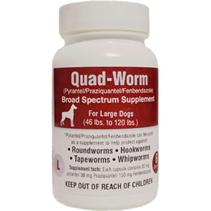 Quad-Worm for Large Dogs 46-120 lb - 6 ct