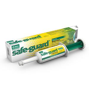 Safe-Guard Paste 10% - 92 g
