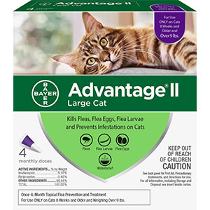 Advantage II Flea Treatment for Cats Over 9 lb (4 Pack)