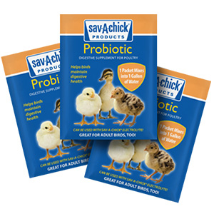 Sav-A-Chick Probiotic (3 Pack)