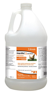 AmproMed-P (Amprolium) Oral Solution 9.6% for Poultry - 1 gal
