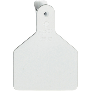 Z Tags No-Snag Calf Ear Tags - White Blank (100 Pack)