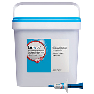 Lockout Syringe - 144 ct