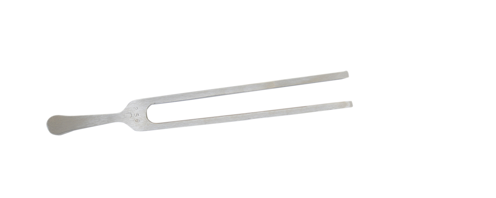 Baseline, Tuning Fork with weight, Student Grade, 256 cps