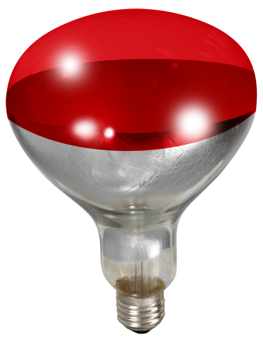 250 Watt Red Bulb For Brooder Lamp, 12 count