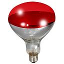 250 Watt Red Bulb For Brooder Lamp, 12 count
