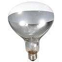 250 Watt Clear Heat Lamp Bulb