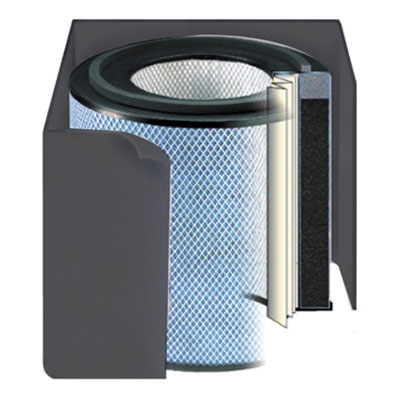 Austin Air, Bedroom Machine Accessory - Black Replacement Filter Only