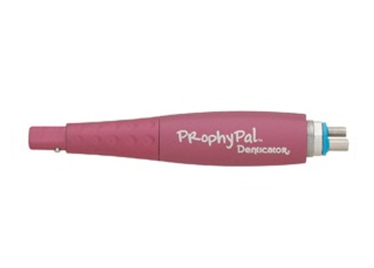 Young Dental Manufacturing Denticator® ProphyPal® Prophy Pink