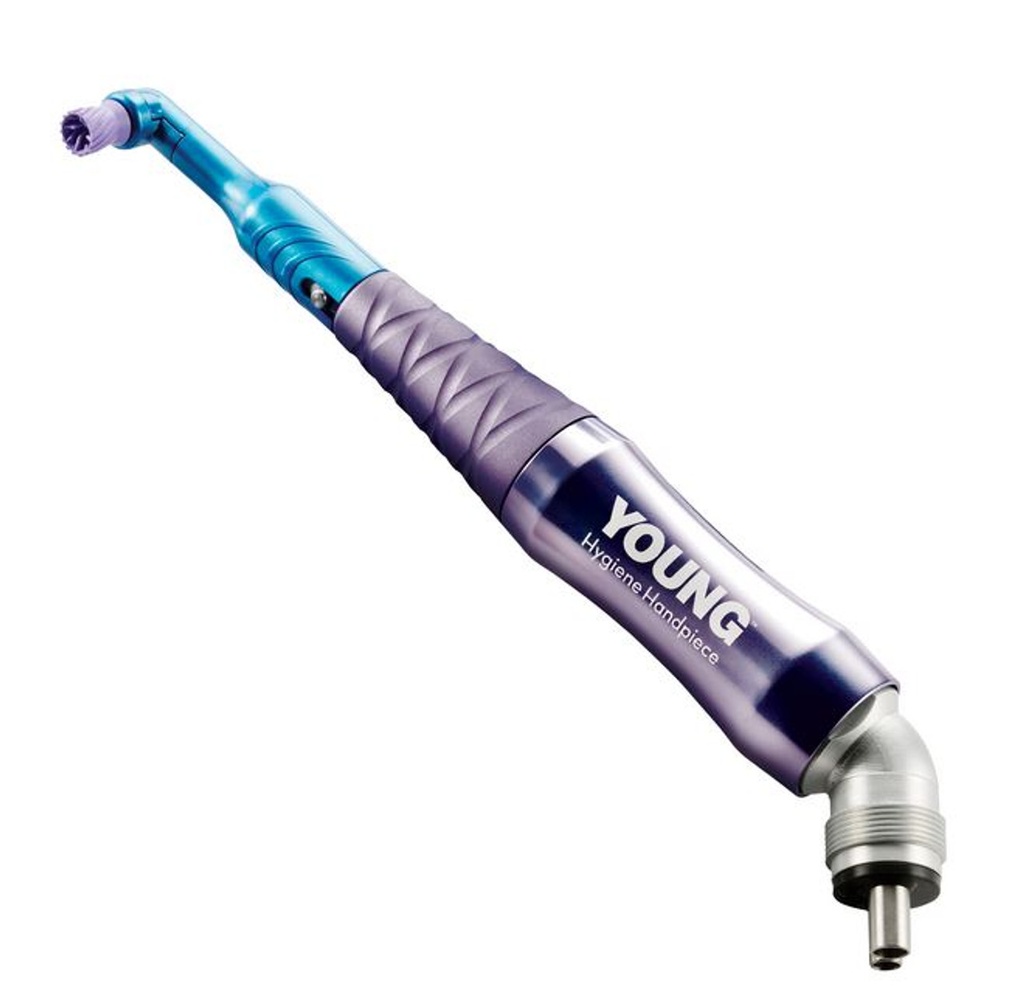 Young Dental Manufacturing Young™, Purple, Nosecone, 1/bg