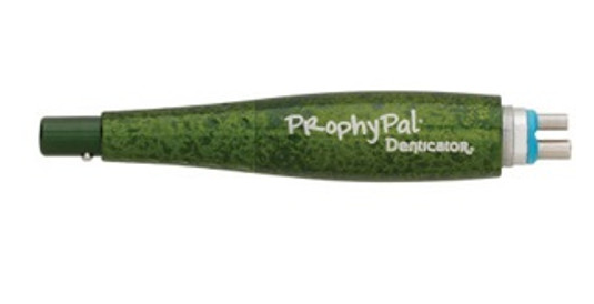 Young Dental Manufacturing Denticator® ProphyPal® Wild Thing Green (1ea=cs)