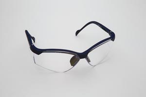 Palmero Safety Glasses, Blue Frame/Clear Lens. Universal Size