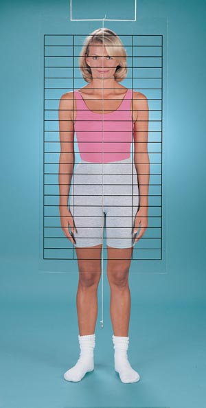 [12-1080] Fabrication Chiropractic, Baseline Posture Grid