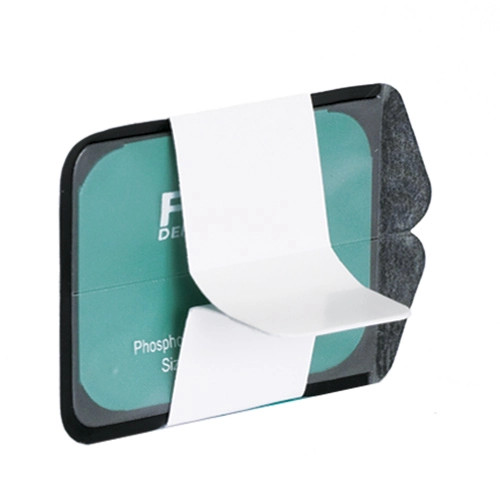 [15725] Flow Dental Loop EZ Adult Econo Pack 1500 Box