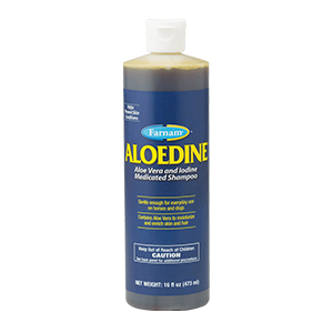 [021112] Aloedine Aloe Vera & Iodine Medicated Shampoo - 16 oz