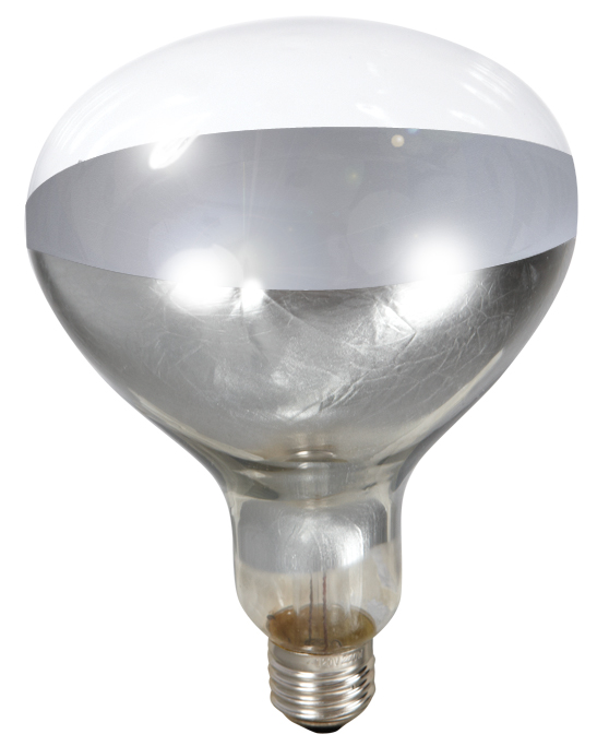 [170031] 250 Watt Clear Heat Lamp Bulb