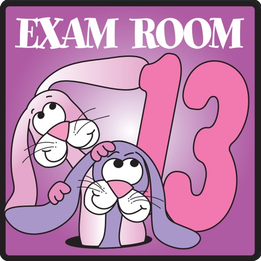 [EX13] Exam Room 13 Sign