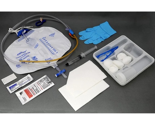 [AS89314S] Amsino International, Inc. Preconnected Foley Tray, 100% Silicone, 14FR, 5cc, Sterile