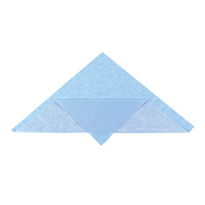[CH210048] Cardinal Health Wrap, Sterilization, CH200, 48 x 48, Single Layer, Blue, SMS